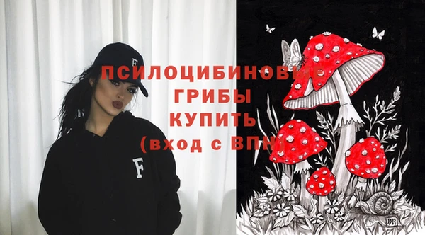 бутират Инсар