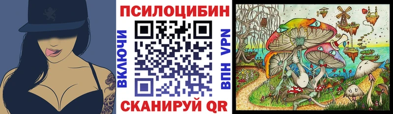 Купить Большой Камень Галлюциногенные грибы Cubensis